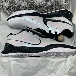 NIKE LEBRON XXI WHITE BLACK BICOASTAL HF5841 100 MEN SHOES SIZE 11 NEW With Box